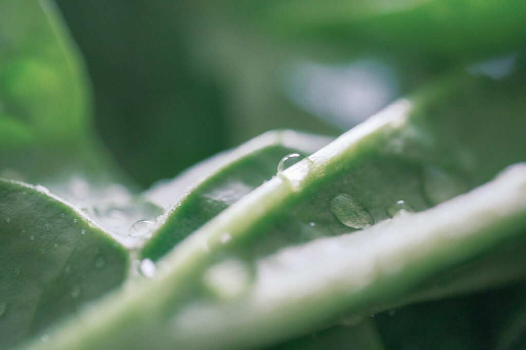 鹿沼興産　Co2削減