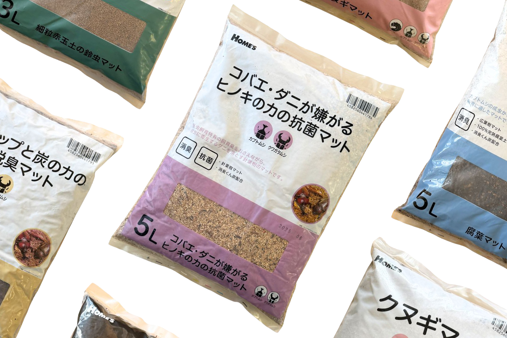 鹿沼興産　昆虫　ペット