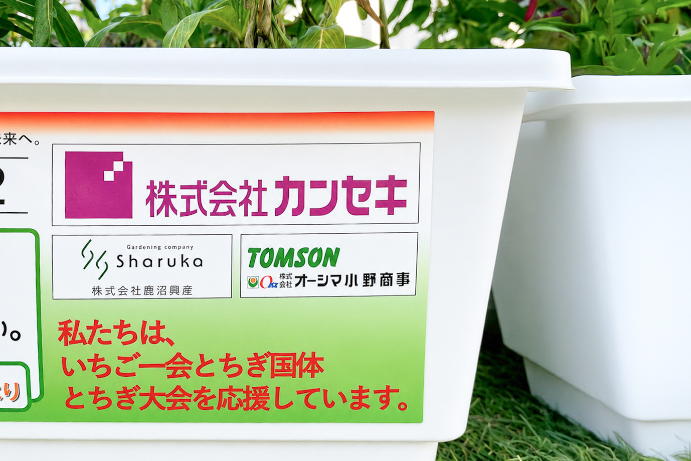 鹿沼興産　いちご一会とちぎ国体・とちぎ大会