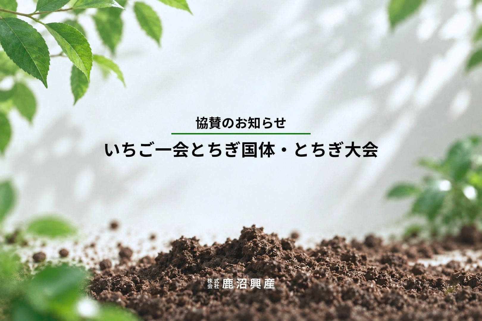 鹿沼興産　いちご一会とちぎ国体・とちぎ大会